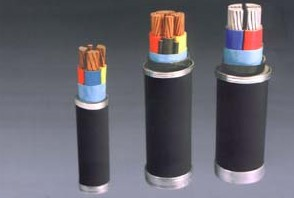 聚氯乙烯绝缘电力电缆-天长市华利特仪表厂